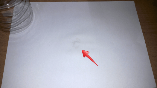 Aviary Photo_131398454278771167