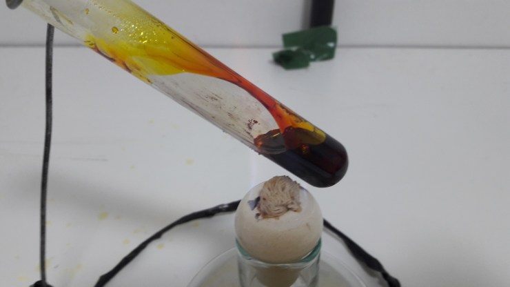 20170805_095205 - Copy