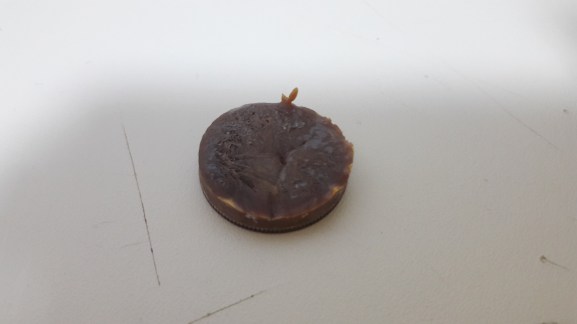 20170805_100026 - Copy